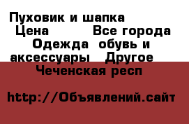 Пуховик и шапка  Adidas  › Цена ­ 100 - Все города Одежда, обувь и аксессуары » Другое   . Чеченская респ.